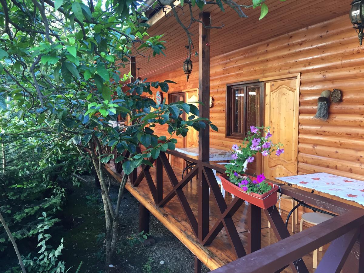 Guest House Nana Gagry Zewnętrze zdjęcie