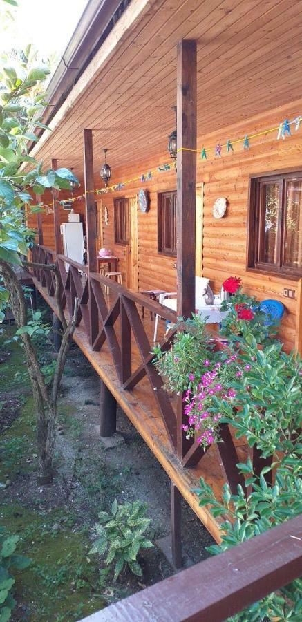 Guest House Nana Gagry Zewnętrze zdjęcie